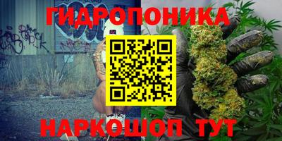прущая мука Кингисепп