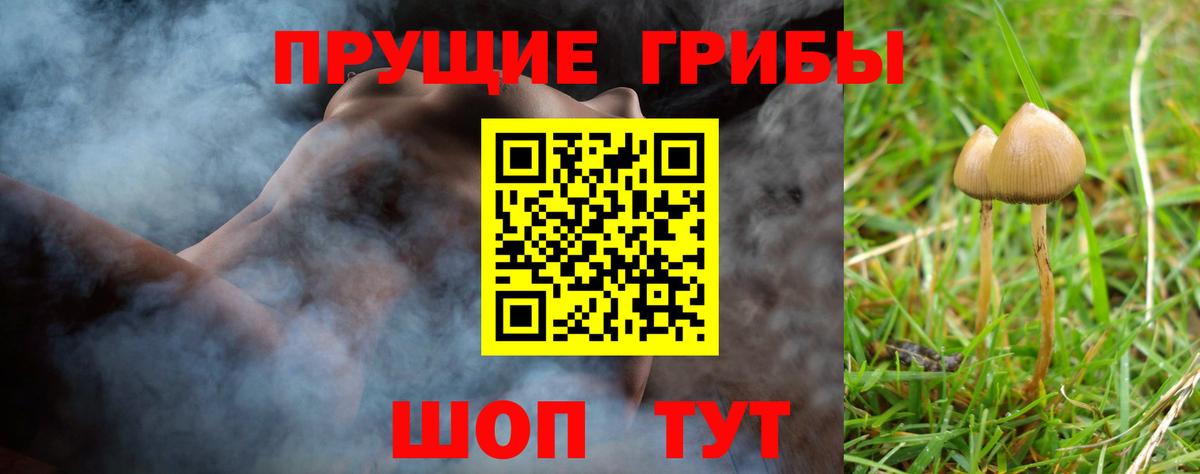 Псилоцибиновые грибы прущие грибы Электросталь