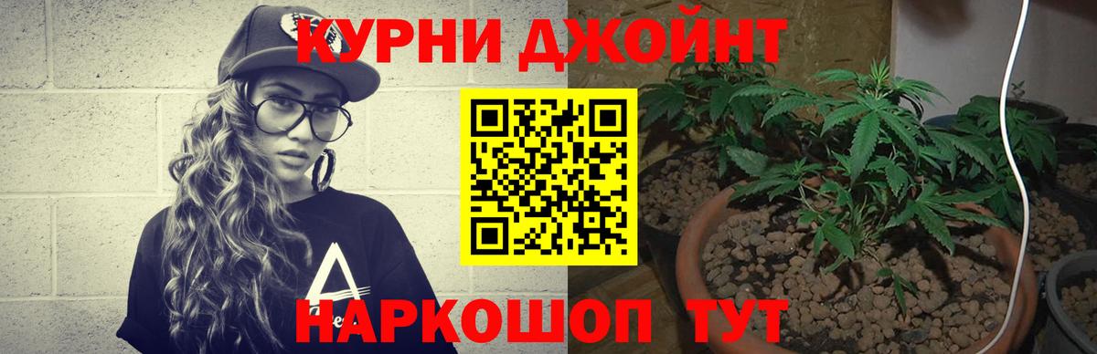 Бошки марихуана гибрид Электросталь
